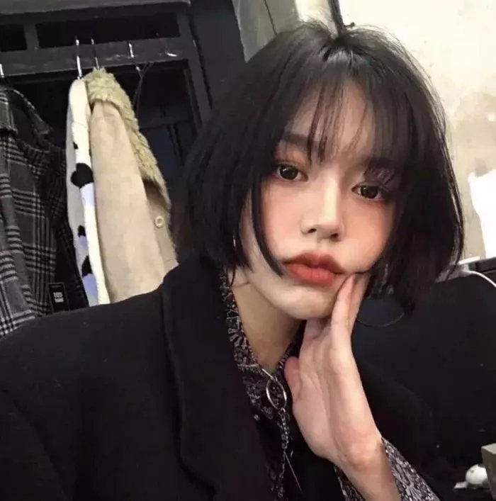 我的小狮王